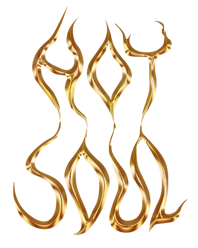 Willkommen im offiziellen HOT SOUL Onlineshop by EMSKOPF. Entdecke den beliebten MY MOONS Mondkalender, Journals & Selfcare-Produkte rund um Achtsamkeit, Manifestation und Selbstliebe. Beginne deine HOT SOUL Ära jetzt!